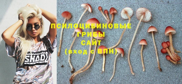 гашишное масло Богданович