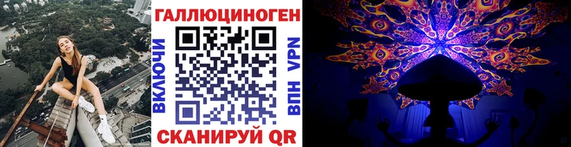 где купить наркоту  Кириллов  Псилоцибиновые грибы Psilocybe 